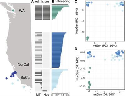 Speciation of pelagic zooplankton: Invisible boundaries can drive isolation of oceanic ctenophores